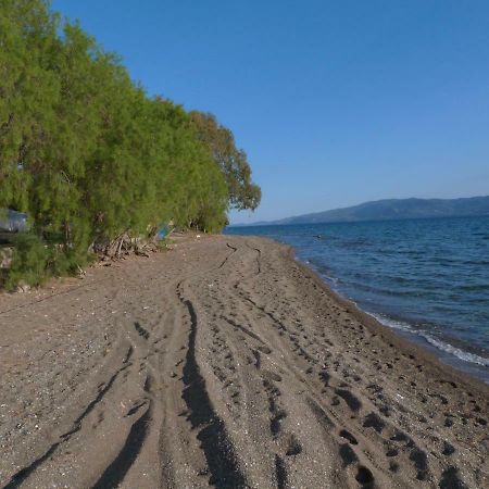 Apt 30M From Beach Apartment Amarynthos Exterior foto